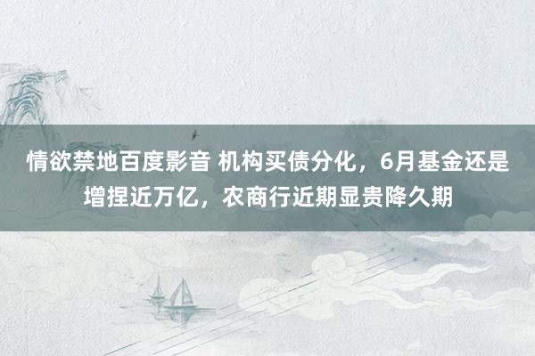 情欲禁地百度影音 机构买债分化，6月基金还是增捏近万亿，农商行近期显贵降久期