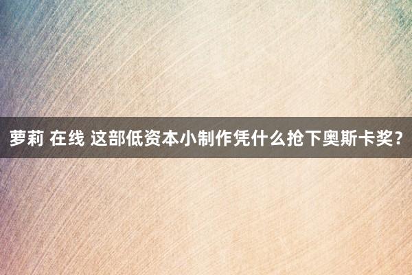 萝莉 在线 这部低资本小制作凭什么抢下奥斯卡奖？