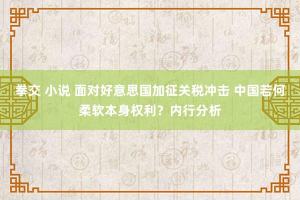 拳交 小说 面对好意思国加征关税冲击 中国若何柔软本身权利？内行分析