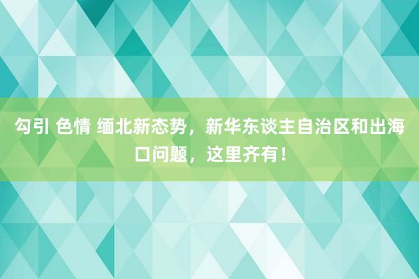 勾引 色情 缅北新态势，新华东谈主自治区和出海口问题，这里齐有！