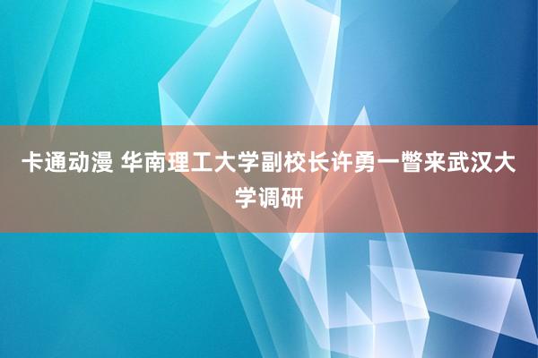 卡通动漫 华南理工大学副校长许勇一瞥来武汉大学调研