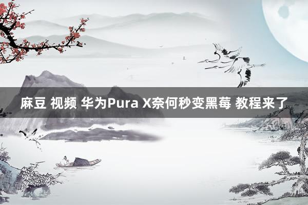 麻豆 视频 华为Pura X奈何秒变黑莓 教程来了